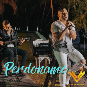 Perdoname (en vivo)