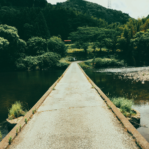 蝉時雨 (CCR Unplugged Version)