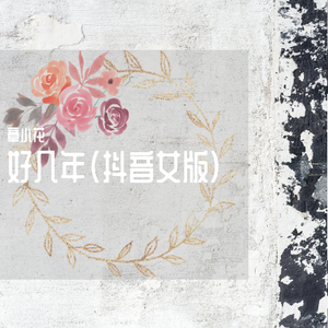 好几年 (抖音女版) (翻自 刘心)