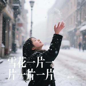 雪花一片一片一片一片