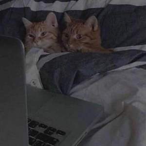 你快乐所以我快乐