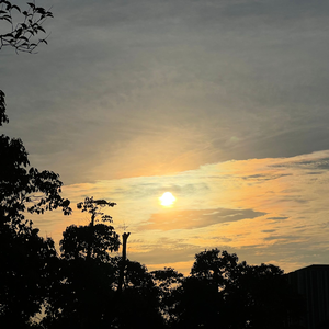 刻在我心底的名字