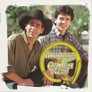 Meu Bem Não Me Quer (My Baby Don't Care)