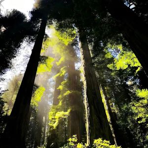 有些回忆无法被复刻v