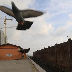 关于郑州的记忆