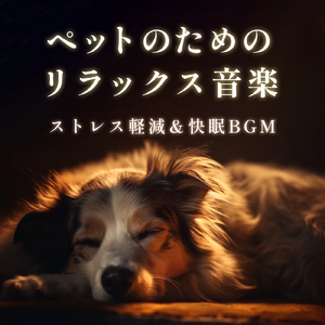 愛犬と一緒にリラックス