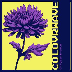 Chrysanthemum