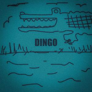 Dingo