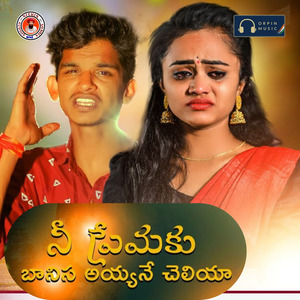 Nee premaku banisa ayyane cheliya