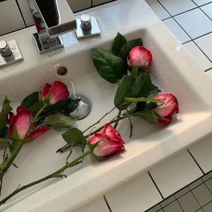 艾力 - Sirlik Soygu