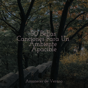 Espléndido Sueño Alado