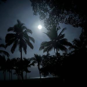 TheNight