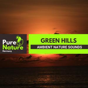 Wake Up to the Sounds of the Darkeyed Junco