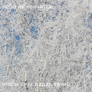 Наблюдатель