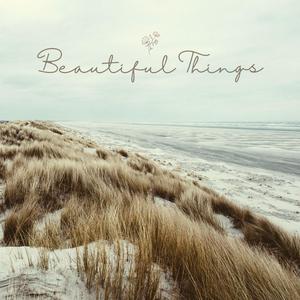 Beautiful Things