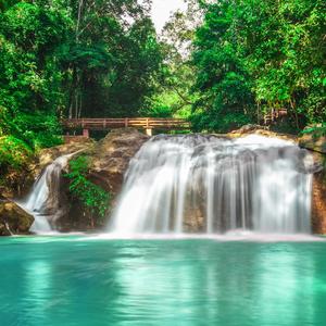 ASMR The Light Wind Grass and Bird Noises on the Mountain