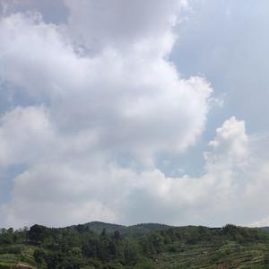 時代を超える想い（风物之诗琴）