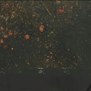 别梦兰亭