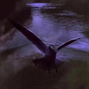 抑（Prod By.tired）