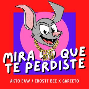 Mira lo que te perdiste (feat. Garceto)