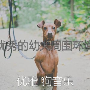 一尘不染训练犬印象数