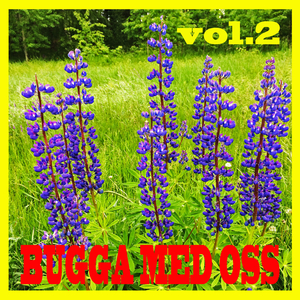 Himmelsfärgat blåa ögon