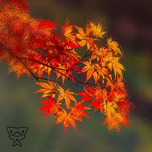 昔路旧雨，风过无声～Forgotten traces～