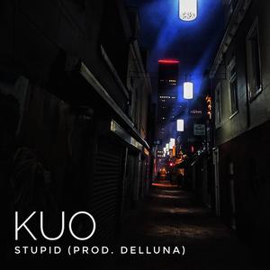 Stupid (feat. Delluna)