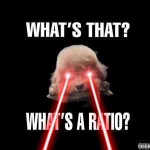 PILLAGERS (feat. Von Pillager)