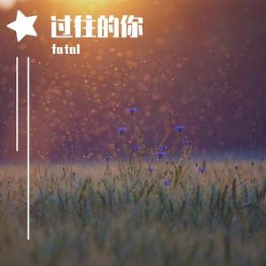 过往的你