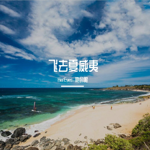 飞去夏威夷