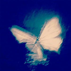 辞暮 (Farewell to dusk)