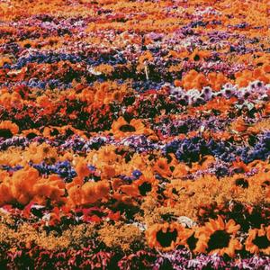 back2life//first verso