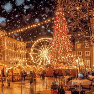 Winter's Golden Glow