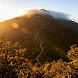 听闻山上有路