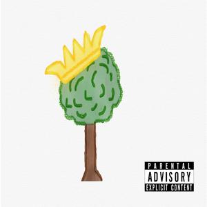 No Hook (feat. SayyDotty & X)