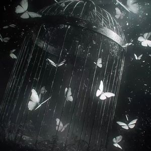 [Free]"牢笼"- Beat