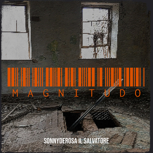 Magnitudo