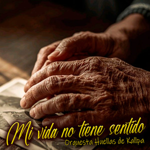 Mi Vida No Tiene Sentido
