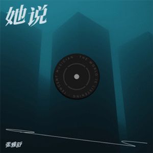 她说 伴奏