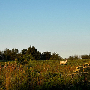 i'm not what you want