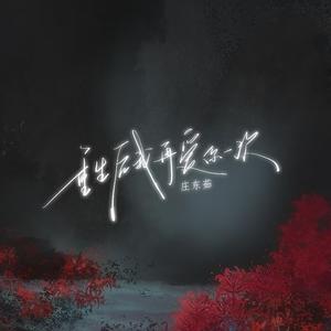 重生后我再爱你一次（DJ版）