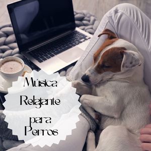 Pequeño