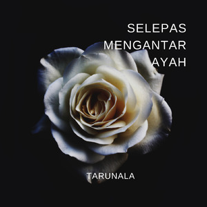 Selepas Mengantar Ayah