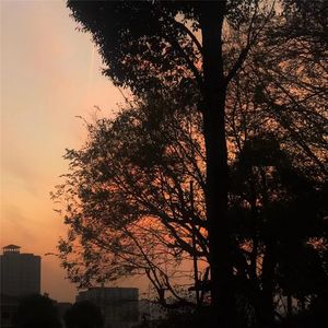 没有人不比我快乐