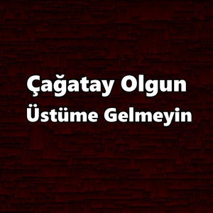 Üstüme Gelmeyin