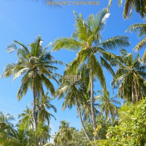 适合办公室工作时髦的音乐