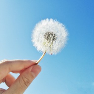 一首我在34°34'11.3"N126°36'17.5"E为那个远方的姑娘写下的一首未曾开口唱过的歌