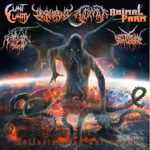 Cunt Cuntly - Degenerative Metamorphic Entity