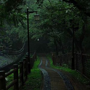 爱久见人心（钢琴曲）